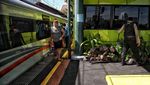 Anjing Pelacak Sisir Stasiun Gambir Jelang Puncak Arus Mudik