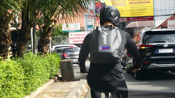 Dyson backpack