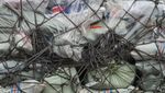 E-commerce Jadi Pendorong Utama Pertumbuhan Sektor Jasa Ekspedisi