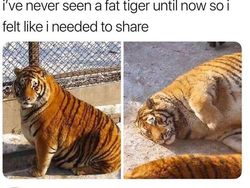 Bukan Editan! Objek Mencengangkan di Foto Ini Beneran Eksis