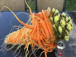 Bukan Editan! Objek Mencengangkan di Foto Ini Beneran Eksis