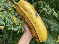 Bukan Editan! Objek Mencengangkan di Foto Ini Beneran Eksis