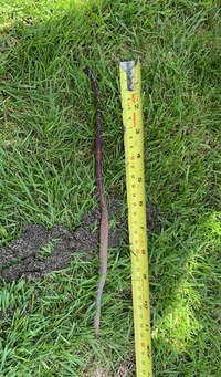 Foto Bukan Editan Tapi Mencengangkan