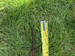 Bukan Editan! Objek Mencengangkan di Foto Ini Beneran Eksis