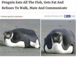 Bukan Editan! Objek Mencengangkan di Foto Ini Beneran Eksis