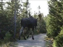 Bukan Editan! Objek Mencengangkan di Foto Ini Beneran Eksis
