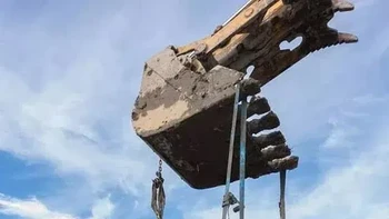 Tengkorak mammoth yang ditemukan dari halaman belakang seorang petani benar-benar berukuran raksasa. Foto: Reddit