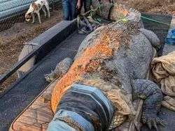 Bukan Editan! Objek Mencengangkan di Foto Ini Beneran Eksis