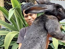 Bukan Editan! Objek Mencengangkan di Foto Ini Beneran Eksis