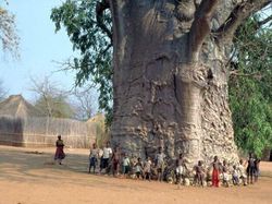 Bukan Editan! Objek Mencengangkan di Foto Ini Beneran Eksis