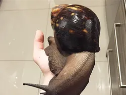 Bukan Editan! Objek Mencengangkan di Foto Ini Beneran Eksis