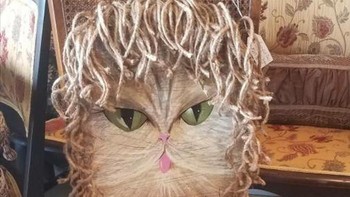 Buat kamu yang suka kucing pasti suka punya kursi begini. Foto: Brightside