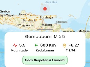 Ahli ITS Sebut Sumber Gempa Tuban dan Bangkalan dari Patahan yang Sama