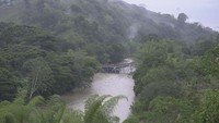 Jembatan ini menghubungkan wilayah Valle del Cauca dan Quindio.  