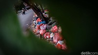 Sampah menumpuk di trotoar Jalan Raya Cirendeu, Tangsel, Jumat (14/4/2023).