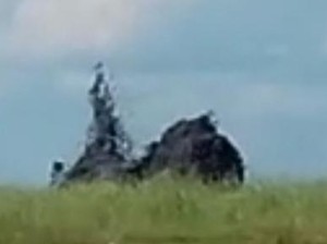 Oro-oro Kesongo Blora Masih Erupsi Malam Ini, Warga Dilarang Mendekat