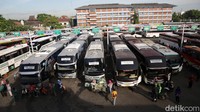 Jejeran bus AKAP siap mengantar pemudik ke sejumlah kota di Pulau Jawa dan Sumatera.