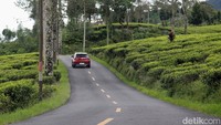 Jalur pantai selatan Jawa dikenal eksotis, penuh dengan tikungan, tanjakan, hingga pegunungan kapur, persawahan dan hutan budidaya.