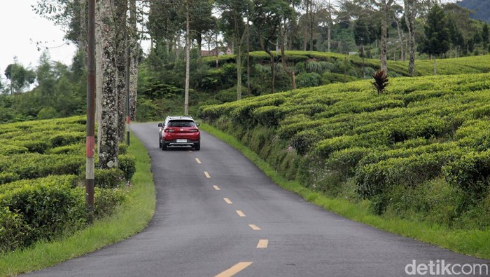 Roadtrip Jalur Mudik Pansela Jawa Bersama Honda WR-V Jalur Pantai Selatan Jawa dikenal eksotis, penuh dengan tikungan, tanjakan hingga hutan budidaya. Honda WR-V membuktikannya.