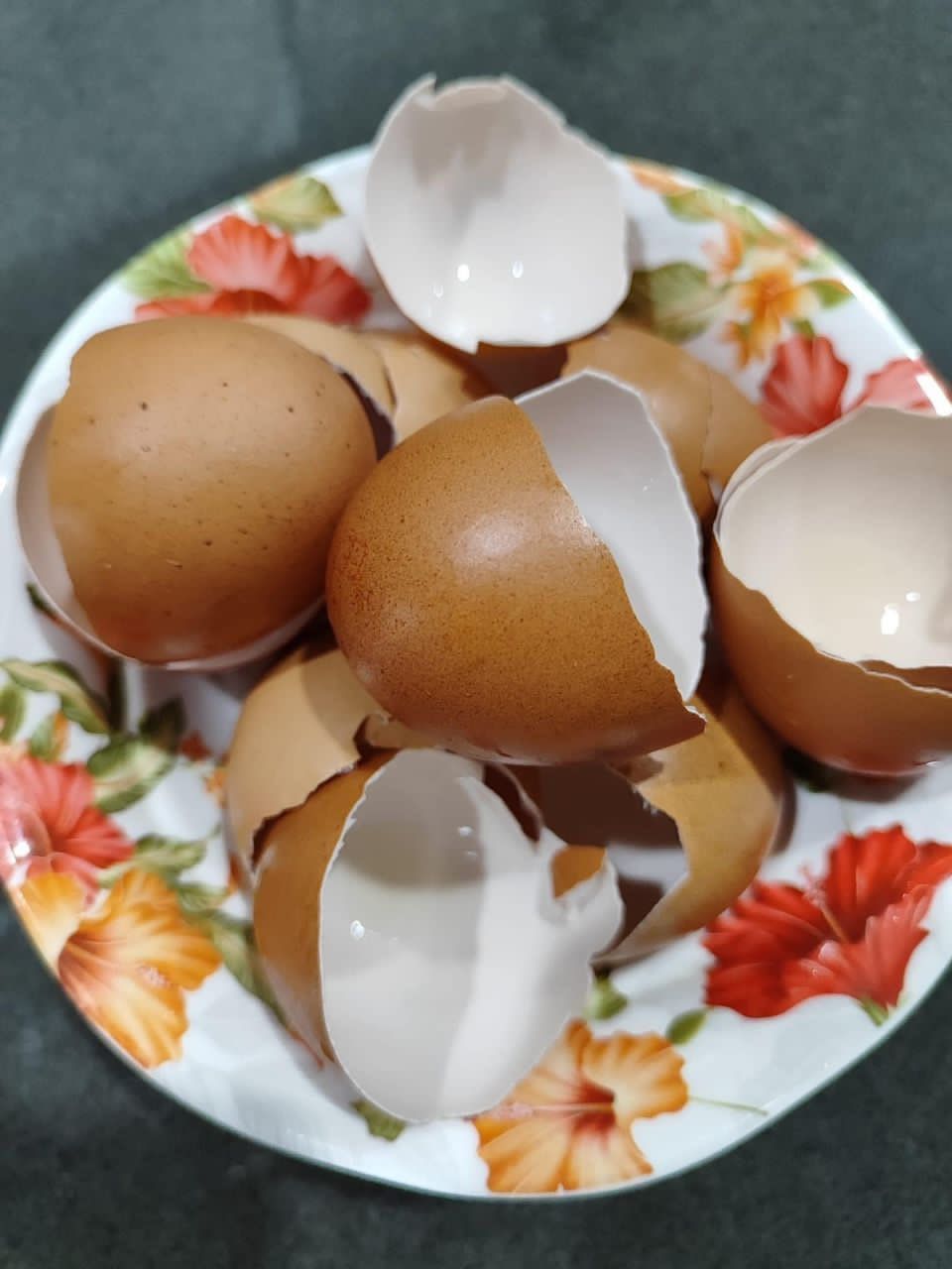 Viral Cuitan Cangkang Telur Bisa Dijual Mahal, Ternyata Tipuan Belaka