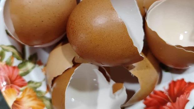 Viral Cuitan Cangkang Telur Bisa Dijual Mahal, Ternyata Tipuan Belaka