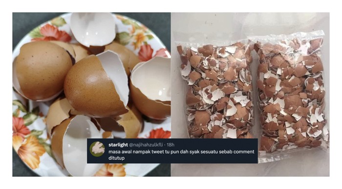 Viral Cuitan Cangkang Telur Bisa Dijual Mahal, Ternyata Tipuan Belaka