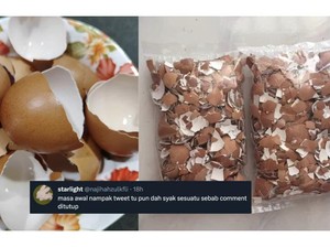 Viral Cuitan Cangkang Telur Bisa Dijual Mahal, Ternyata Tipuan Belaka