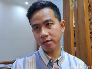 Dilapori Video Jokowi Muka Biawak, Gibran: Maafkan Saja, Masih Idul Fitri