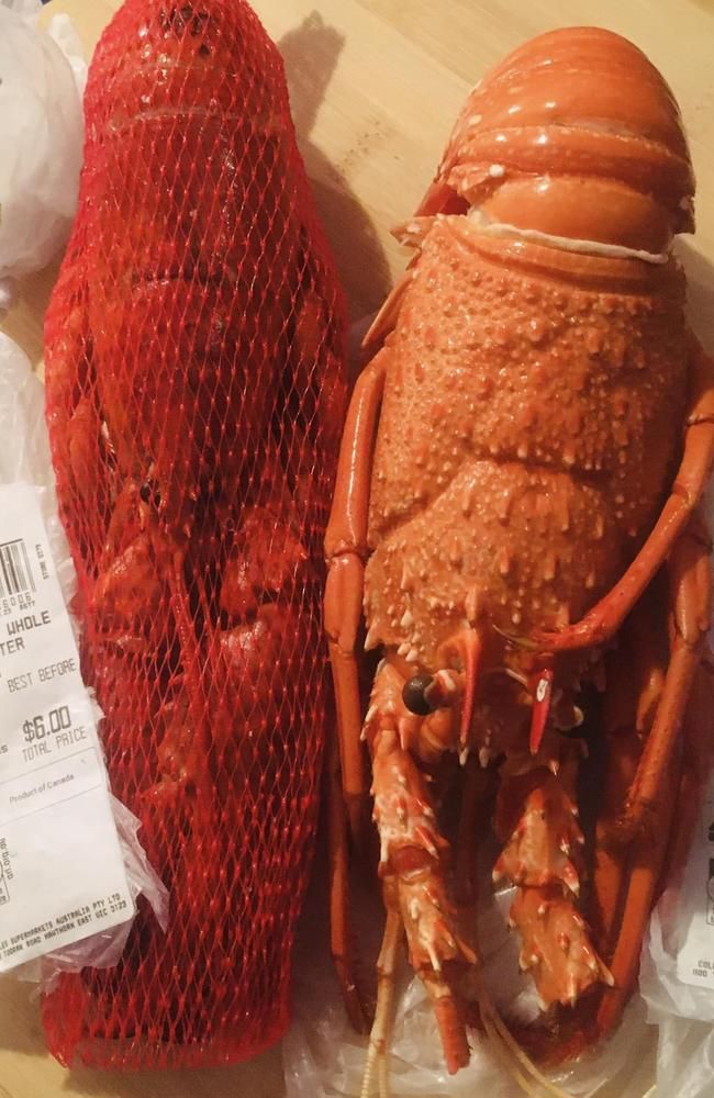 Cuan! Pelanggan Ini Hanya Bayar Lobster Rp 300 Ribu dari Harga Rp 1,2 Juta