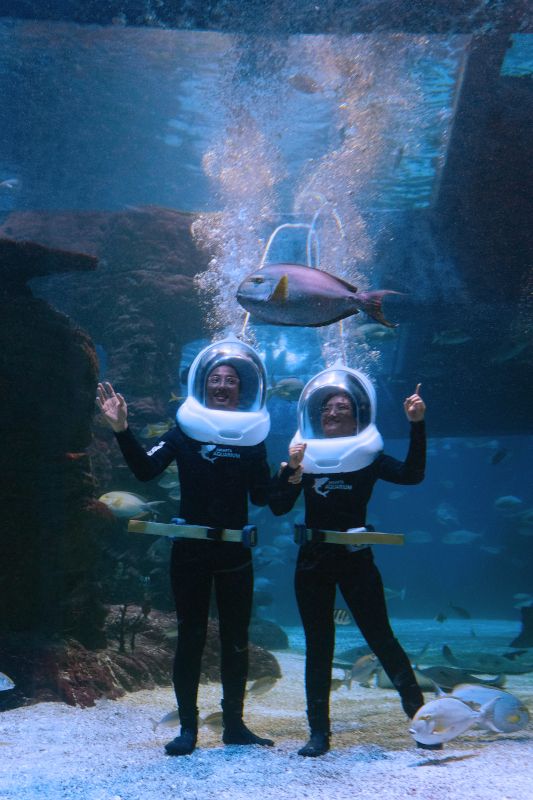 Jakarta Aquarium menyambut Lebara denan tema baru