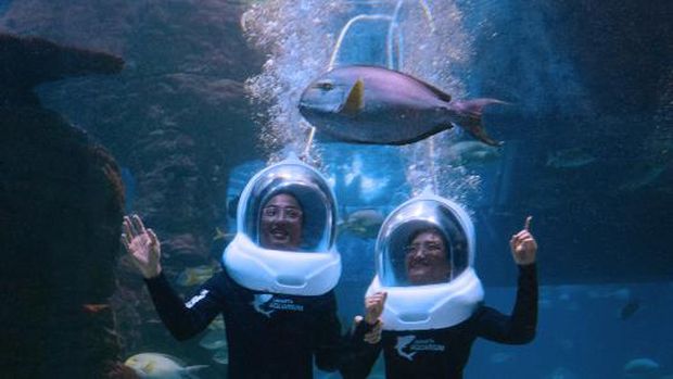 Jakarta Aquarium menyambut Lebara denan tema baru