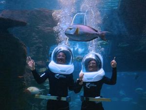 10 Spot Wisata Edukasi di Jakarta, Biar Nggak di Rumah Melulu