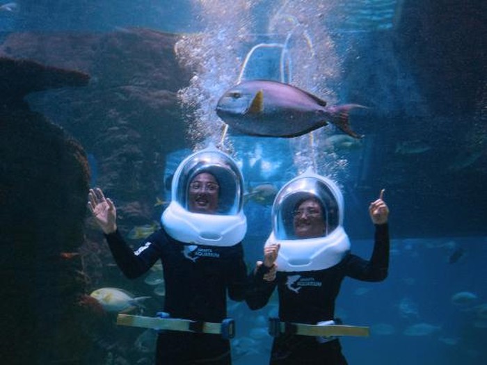 Jakarta Aquarium menyambut Lebara denan tema baru