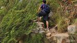 Pengalaman Mendaki Table Mountain, Afrika Selatan