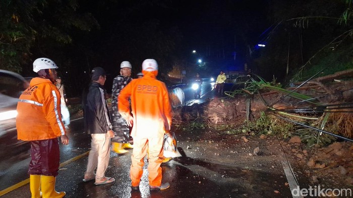 Pohon tumbang di Sumedang.