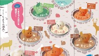 Seperti ini buku menunya. Warna Teddy Bear yang berbeda menandai pilihan rasa sup berbeda juga. Totalnya ada 7 pilihan sup nih Foto: grapee.jp