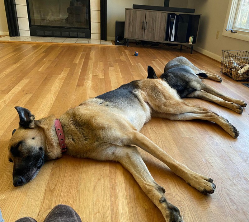 Deretan Foto Kebetulan yang Bikin Mata Gagal Fokus
