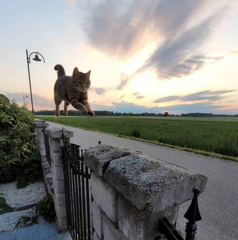 Deretan Foto Kebetulan yang Bikin Mata Gagal Fokus