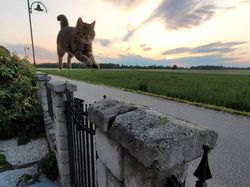 Deretan Foto Kebetulan yang Bikin Mata Gagal Fokus