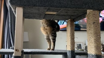 Hiii, kepala dan kakinya terpisah jauh. Foto: Brightside