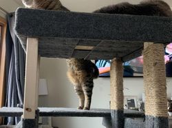 Deretan Foto Kebetulan yang Bikin Mata Gagal Fokus