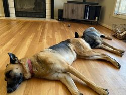 Deretan Foto Kebetulan yang Bikin Mata Gagal Fokus