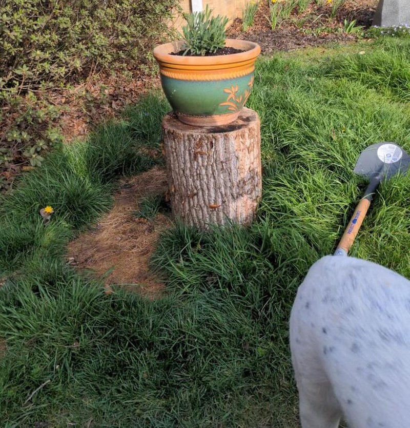 Deretan Foto Kebetulan yang Bikin Mata Gagal Fokus