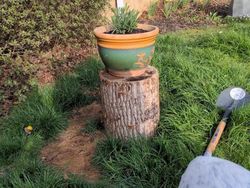 Deretan Foto Kebetulan yang Bikin Mata Gagal Fokus