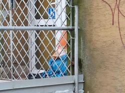 Deretan Foto Kebetulan yang Bikin Mata Gagal Fokus