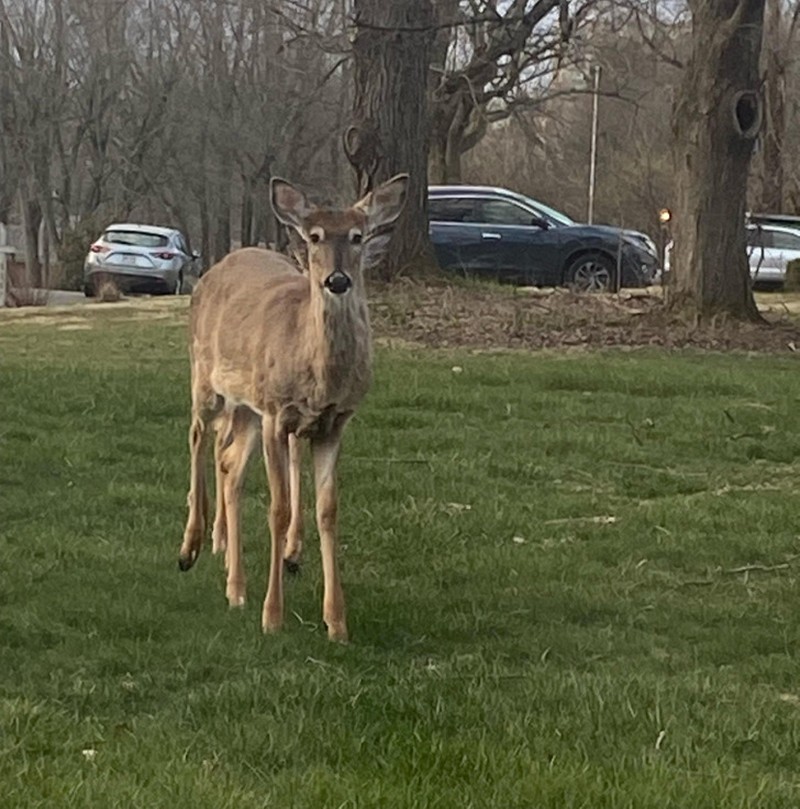 Deretan Foto Kebetulan yang Bikin Mata Gagal Fokus