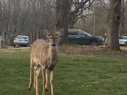 Deretan Foto Kebetulan yang Bikin Mata Gagal Fokus