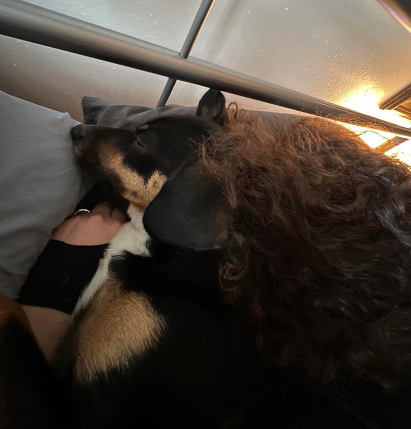 Deretan Foto Kebetulan yang Bikin Mata Gagal Fokus