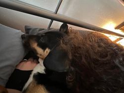 Deretan Foto Kebetulan yang Bikin Mata Gagal Fokus