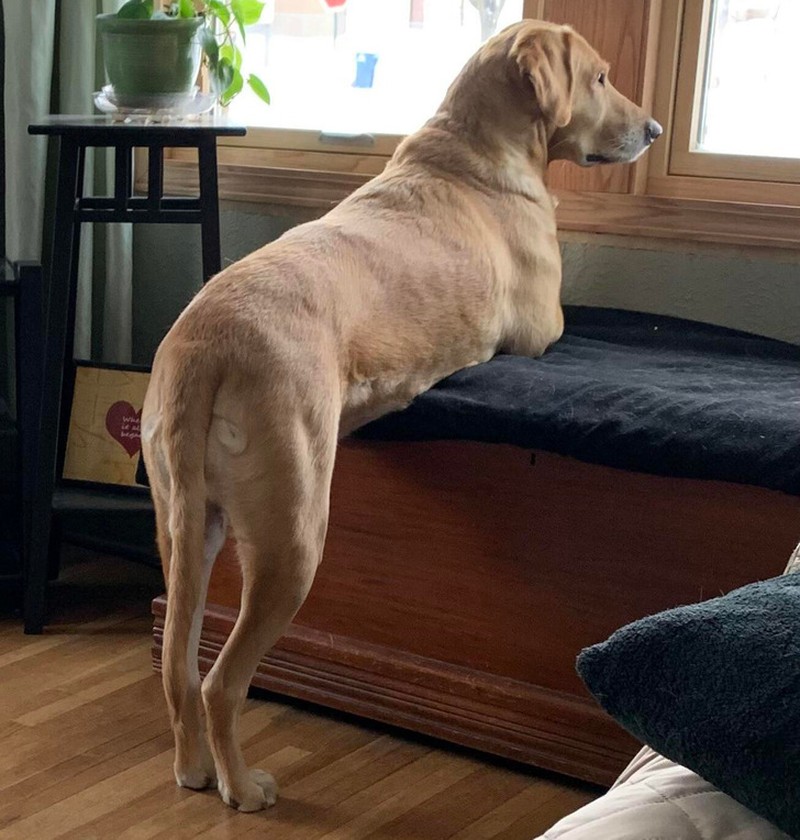 Deretan Foto Kebetulan yang Bikin Mata Gagal Fokus